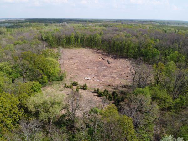 West Hartford Land Clearing